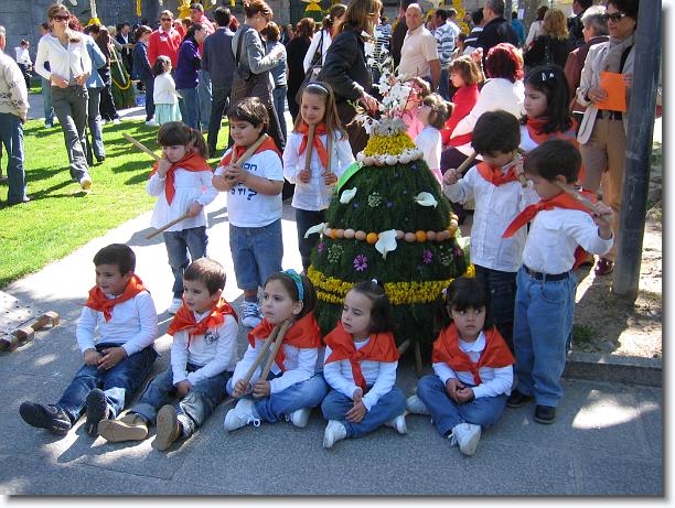 Has llegado a la última diapositiva